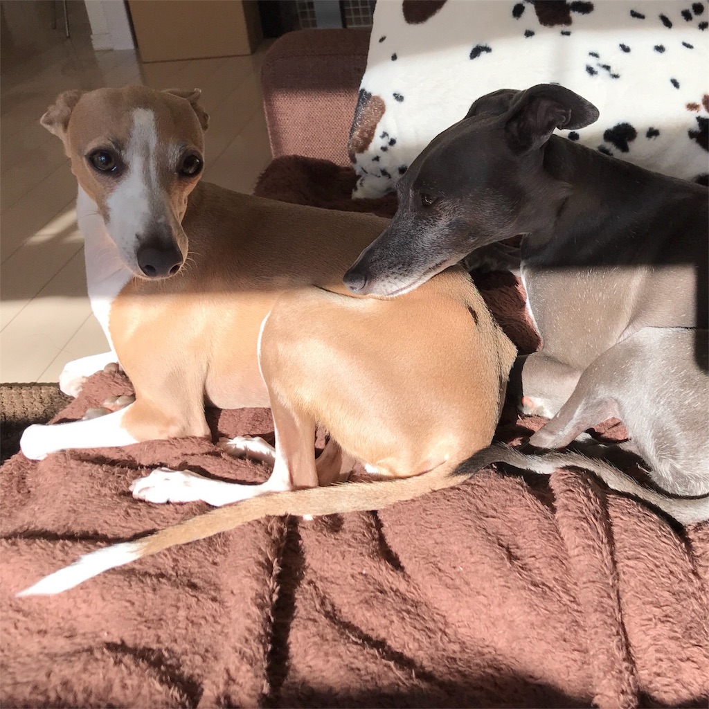 f:id:gino-ig:20180111000318j:image