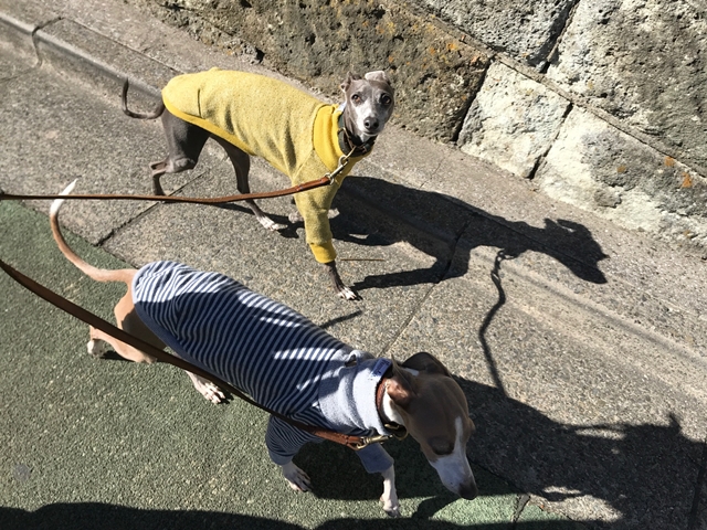 f:id:gino-ig:20180111235755j:plain f:id:gino-ig:20180111235755j:plain