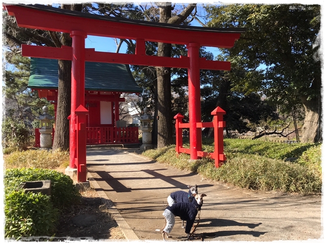 f:id:gino-ig:20180125235743j:plain