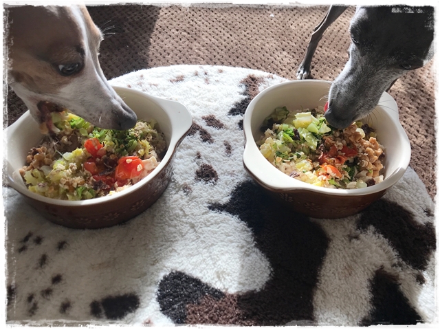 f:id:gino-ig:20180125235945j:plain