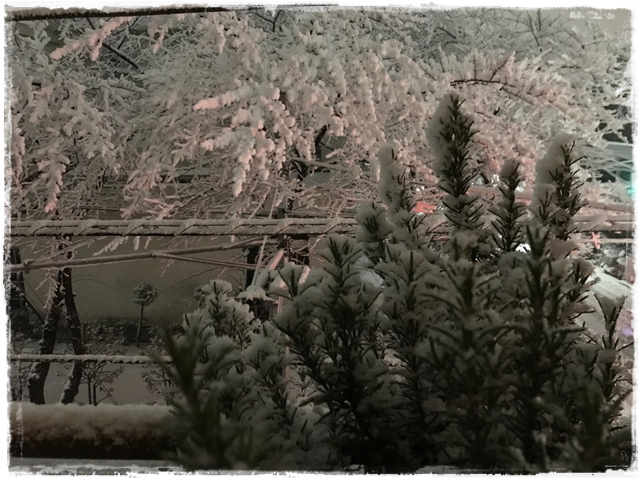 f:id:gino-ig:20180126000230j:plain