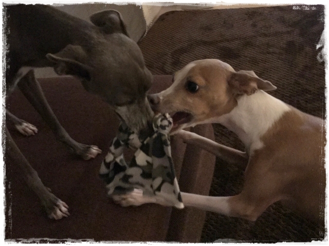 f:id:gino-ig:20180126000350j:plain