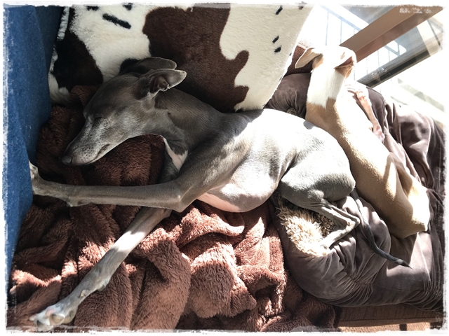 f:id:gino-ig:20180126001018j:plain