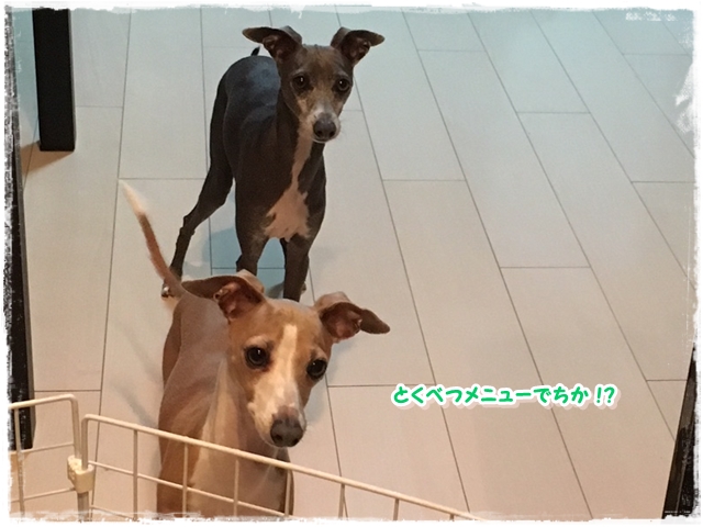 f:id:gino-ig:20180203233916j:plain f:id:gino-ig:20180203233916j:plain