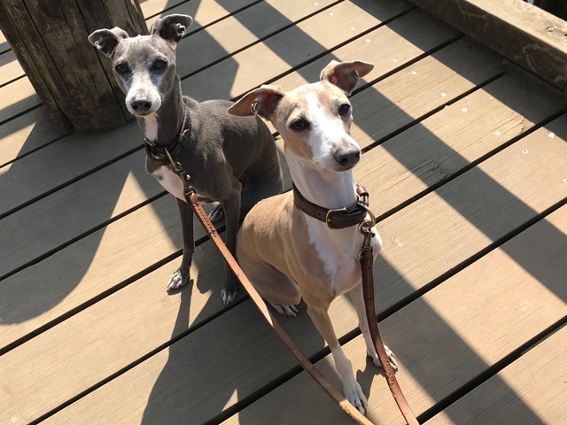 f:id:gino-ig:20180221001258j:plain