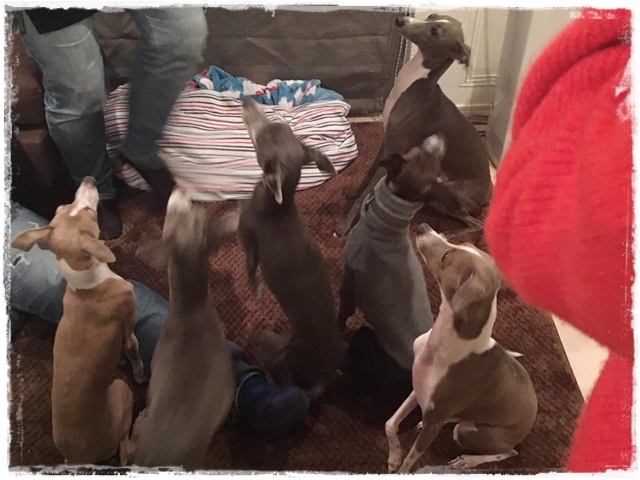 f:id:gino-ig:20180324000851j:plain