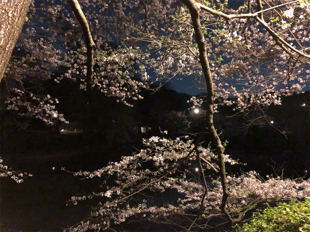 f:id:gino-ig:20180328235930j:image