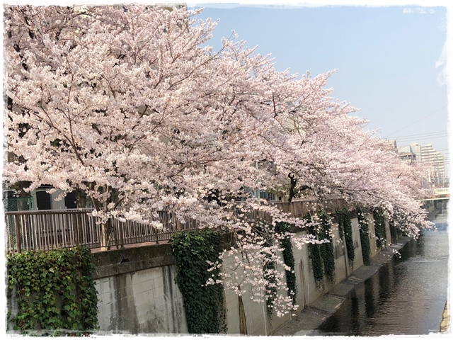 f:id:gino-ig:20180330224322j:plain