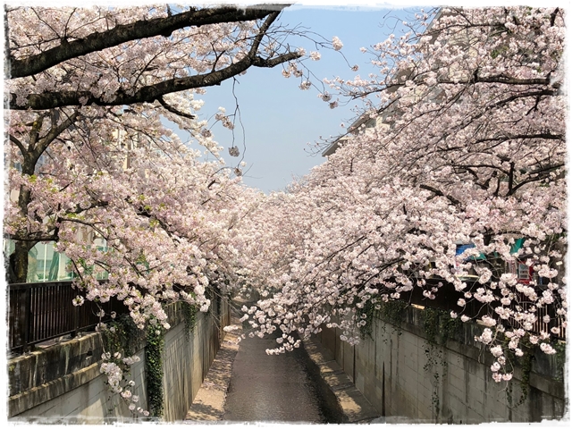 f:id:gino-ig:20180330224355j:plain