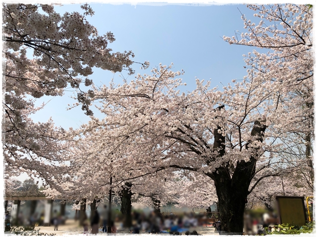 f:id:gino-ig:20180330224641j:plain