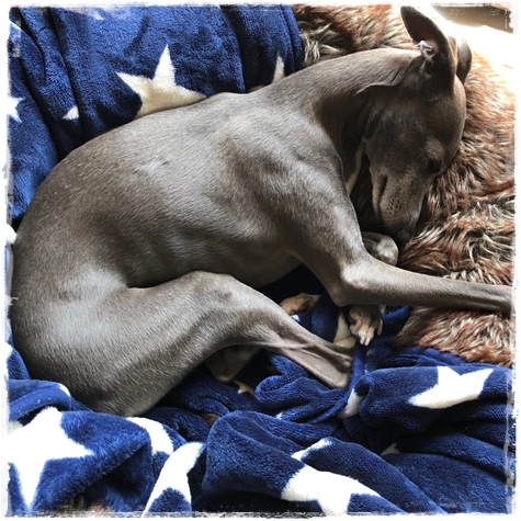 f:id:gino-ig:20180413235842j:plain