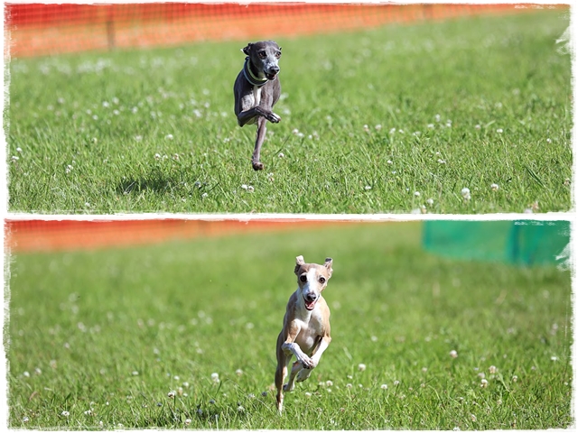 f:id:gino-ig:20180502011737j:plain