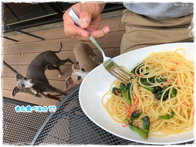 f:id:gino-ig:20180503001805j:plain