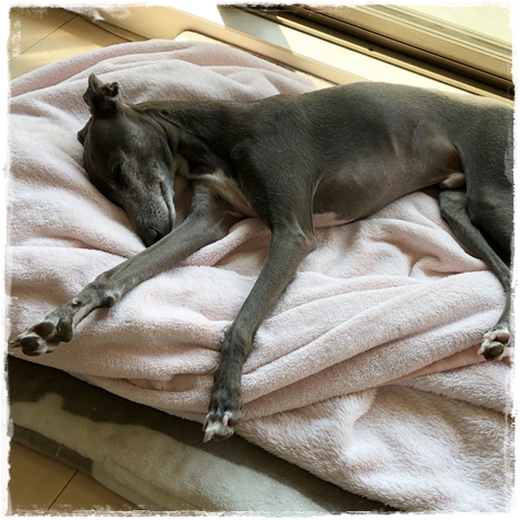 f:id:gino-ig:20180601235117j:plain f:id:gino-ig:20180601235117j:plain