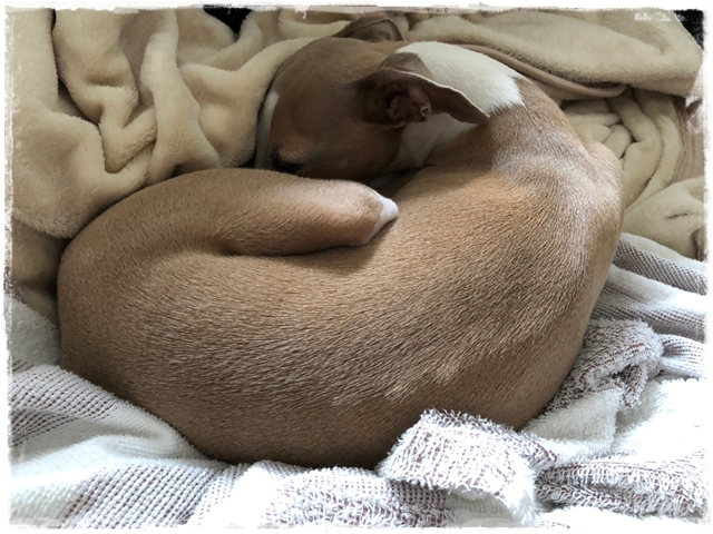 f:id:gino-ig:20180612224047j:plain