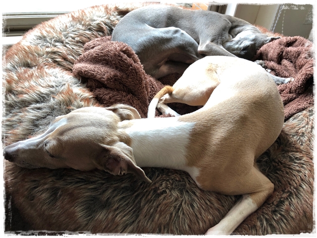 f:id:gino-ig:20180612224234j:plain