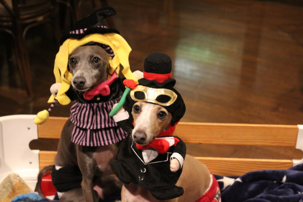 f:id:gino-ig:20180617235359j:plain f:id:gino-ig:20180617235359j:plain