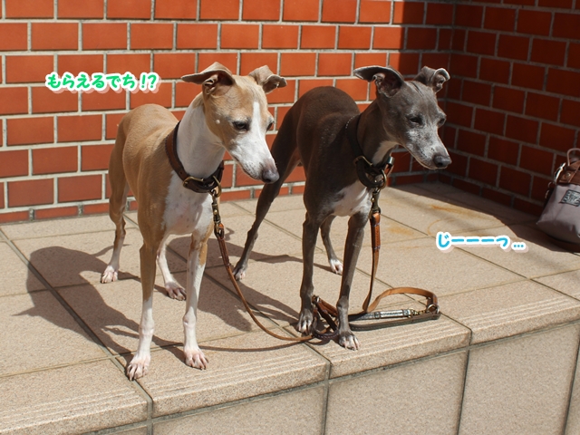 f:id:gino-ig:20180620235559j:plain