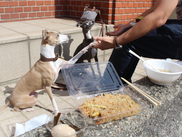 f:id:gino-ig:20180620235817j:plain