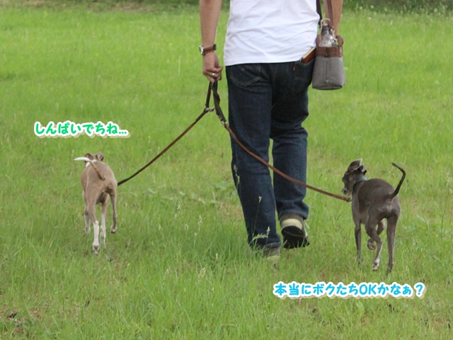 f:id:gino-ig:20180623015315j:plain