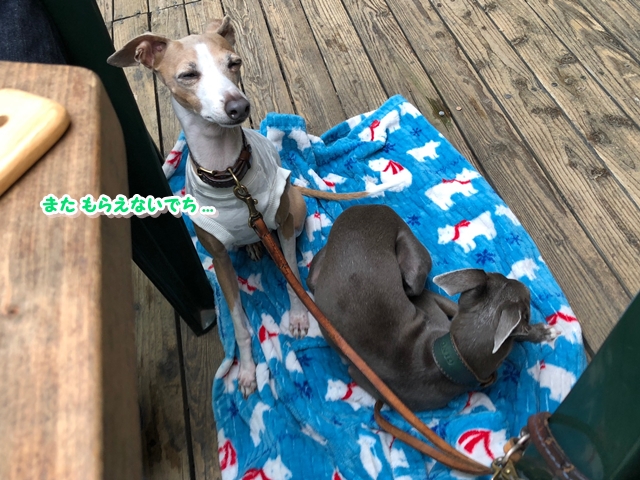 f:id:gino-ig:20180623021000j:plain