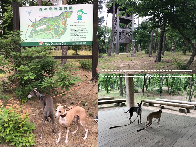 f:id:gino-ig:20180623021628j:plain