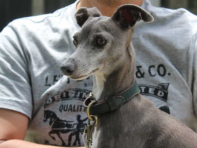 f:id:gino-ig:20180623021940j:plain