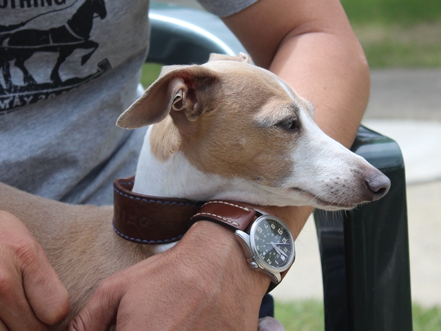 f:id:gino-ig:20180623022109j:plain