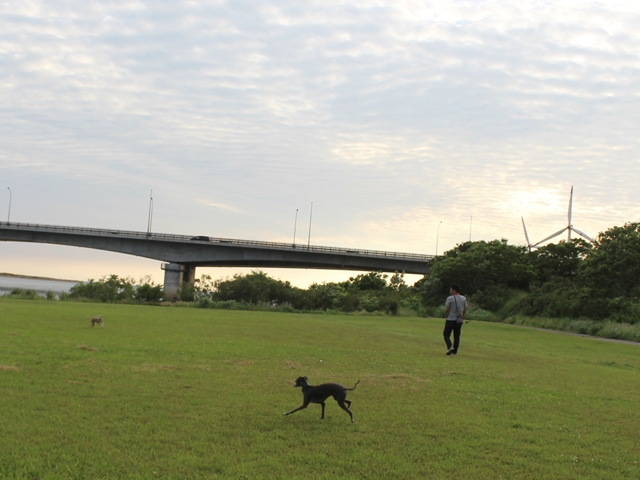 f:id:gino-ig:20180623032719j:plain