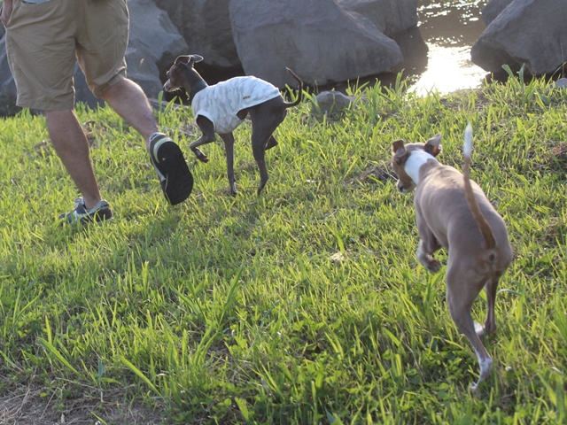 f:id:gino-ig:20180623032843j:plain