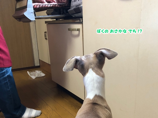 f:id:gino-ig:20180623033252j:plain