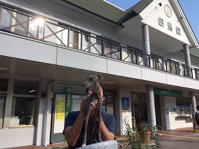 f:id:gino-ig:20180625234906j:plain