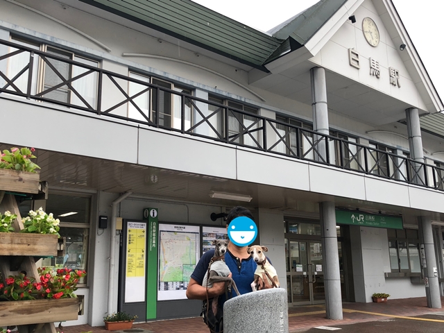 f:id:gino-ig:20180625235124j:plain