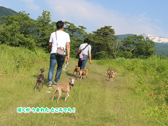 f:id:gino-ig:20180625235247j:plain