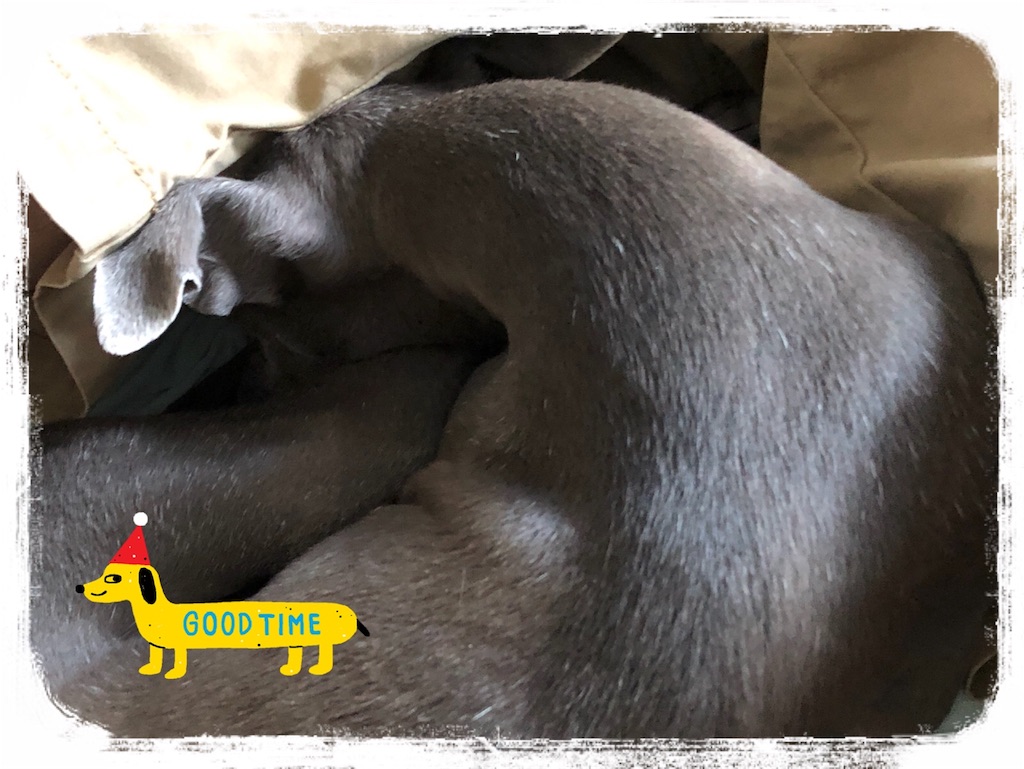 f:id:gino-ig:20180630175930j:image