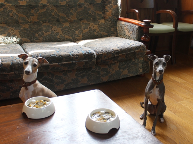 f:id:gino-ig:20180703233910j:plain