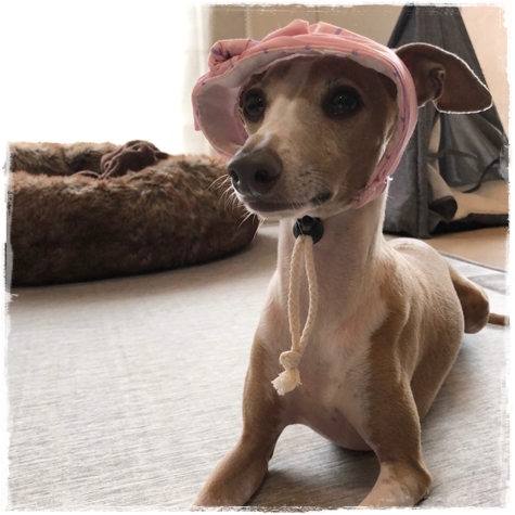 f:id:gino-ig:20180709233512j:plain