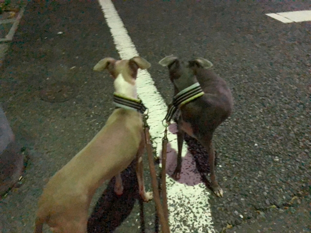 f:id:gino-ig:20180721001411j:plain