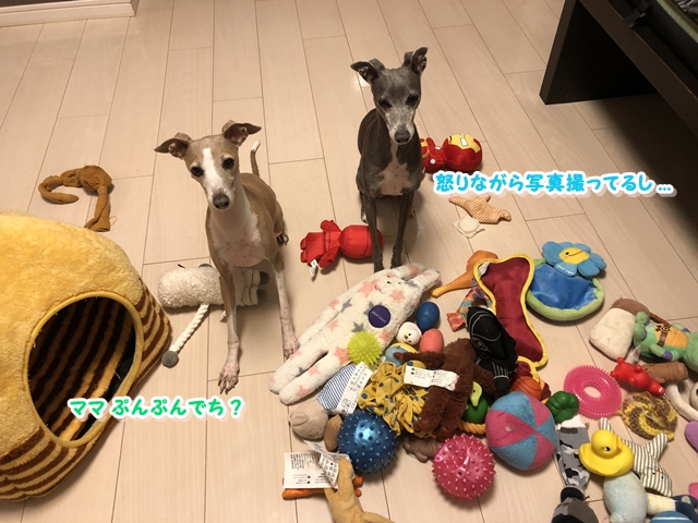 f:id:gino-ig:20181109235358j:plain f:id:gino-ig:20181109235358j:plain