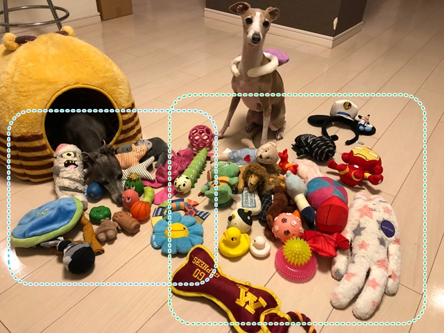 f:id:gino-ig:20181110000811j:plain f:id:gino-ig:20181110000811j:plain