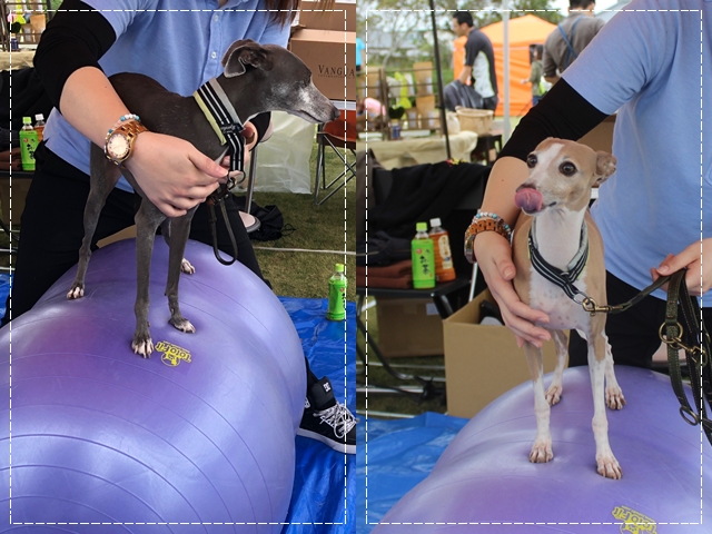 f:id:gino-ig:20181122235240j:plain