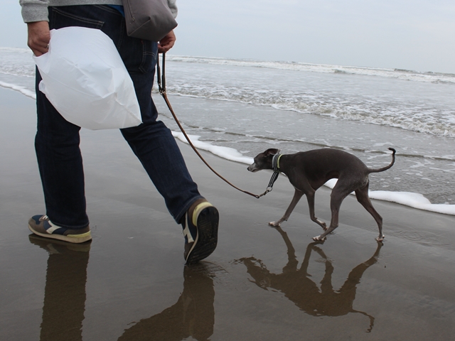 f:id:gino-ig:20181122235908j:plain