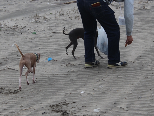 f:id:gino-ig:20181123000629j:plain