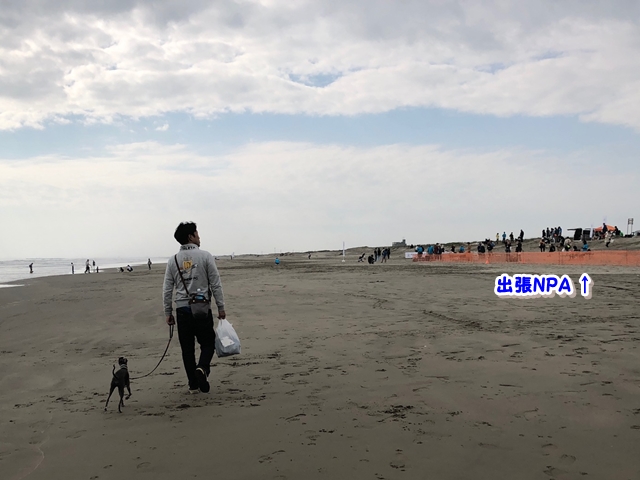 f:id:gino-ig:20181123000720j:plain