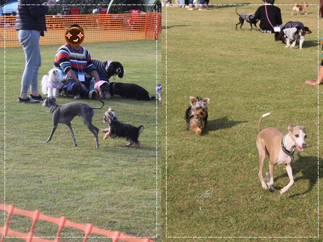 f:id:gino-ig:20181123001912j:plain