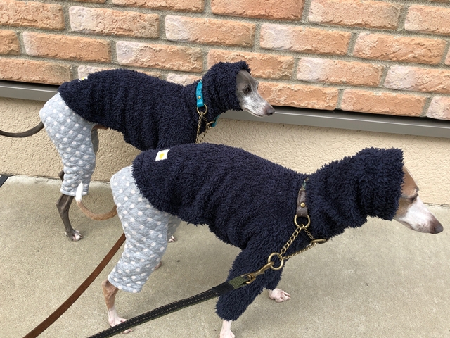 f:id:gino-ig:20181214001333j:plain