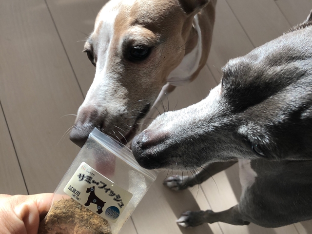 f:id:gino-ig:20181222000942j:plain f:id:gino-ig:20181222000942j:plain