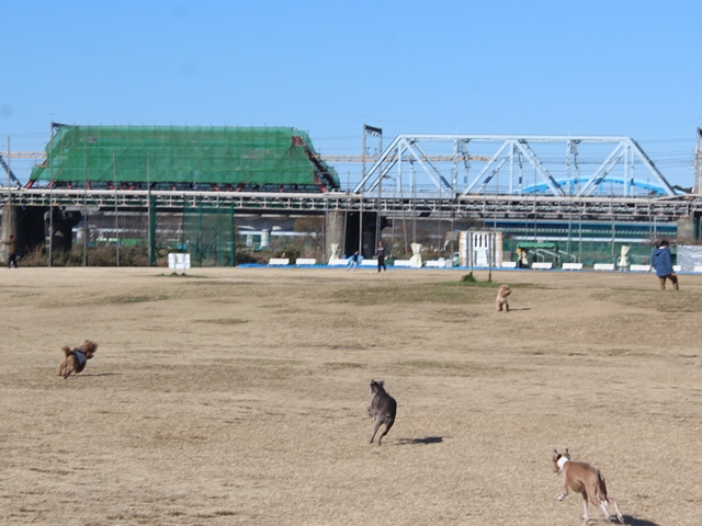 f:id:gino-ig:20190102002633j:plain