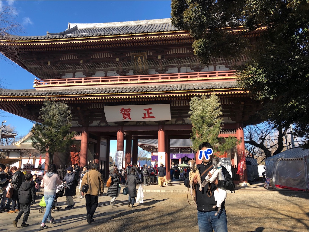f:id:gino-ig:20190111212809j:image f:id:gino-ig:20190111212809j:image