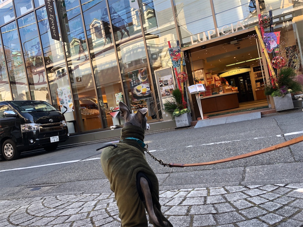 f:id:gino-ig:20190111213237j:image f:id:gino-ig:20190111213237j:image